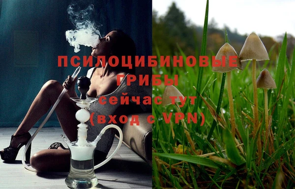 а пвп мука Алзамай
