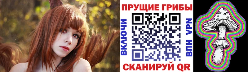 Псилоцибиновые грибы Cubensis  shop официальный сайт  Гвардейск 